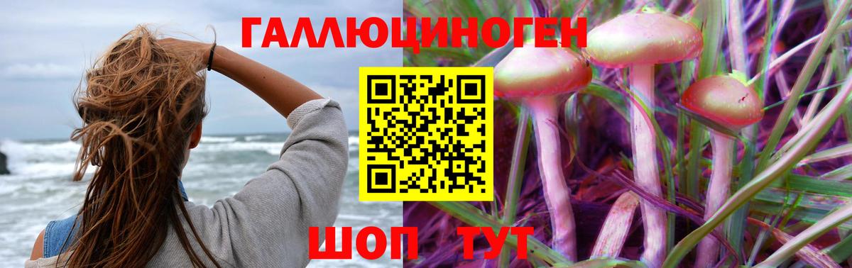 Псилоцибиновые грибы GOLDEN TEACHER Борзя