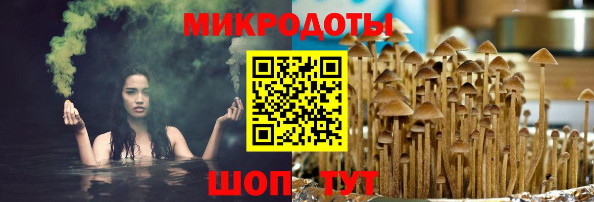 Борзя  Галлюциногенные грибы MAGIC MUSHROOMS  Вход с VPN 